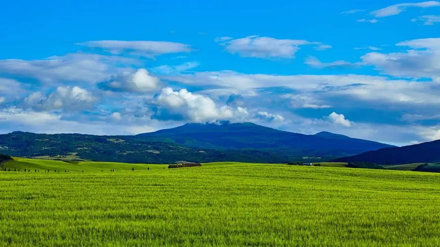 1694414973167186.jpg 88.jpg